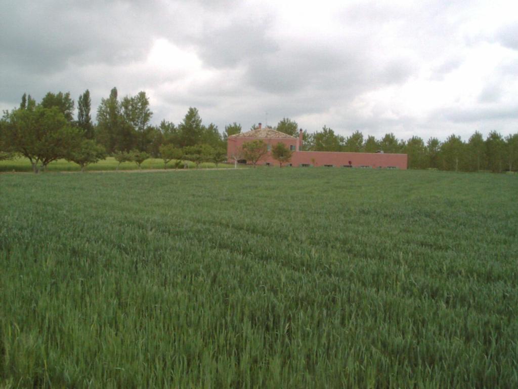 Hotel Santa Coloma Del Camino Olmillos de Sasamon Luaran gambar